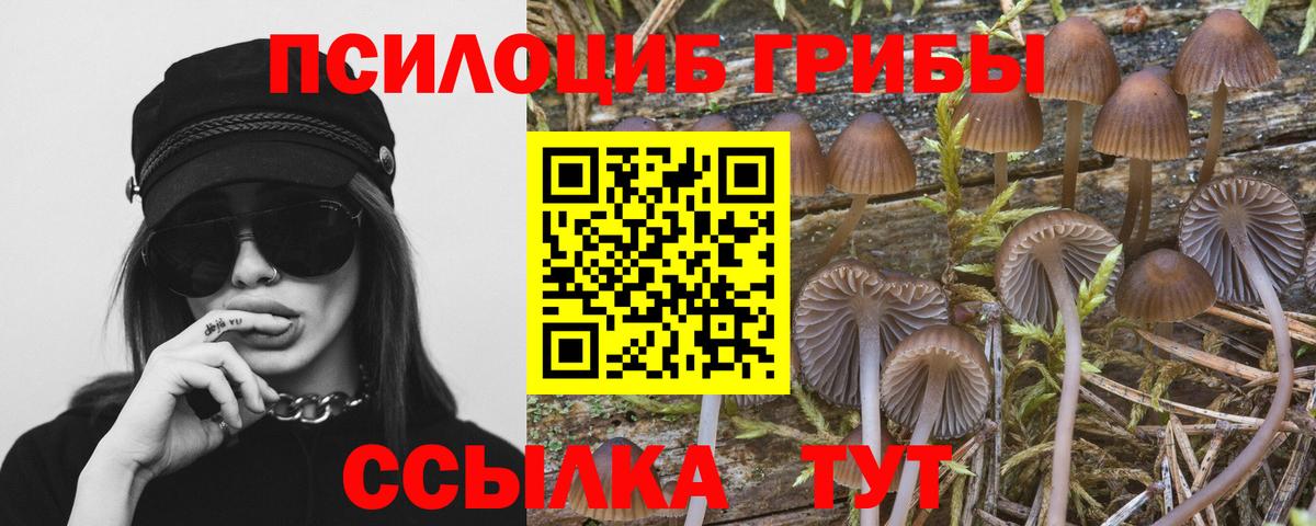 Когалым  Псилоцибиновые грибы мицелий  Псилоцибиновые грибы MAGIC MUSHROOMS  Вход с VPN 